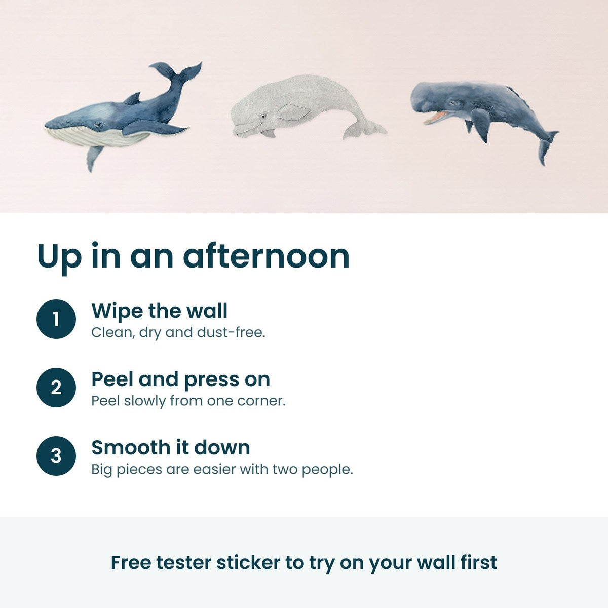 How to put up the whale wall decals