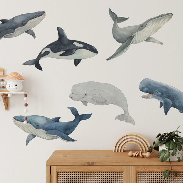 Ocean Whale Wall Decals