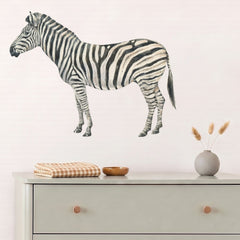 Removable Wall Decals 