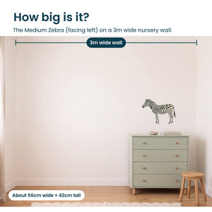 Removable Wall Decals 