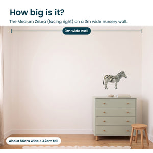 Removable Wall Decals 