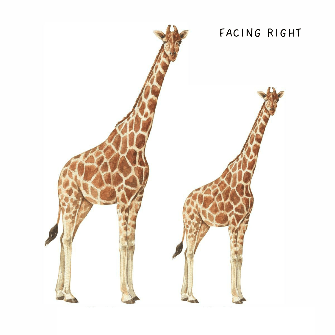 Giraffe Wall Decals