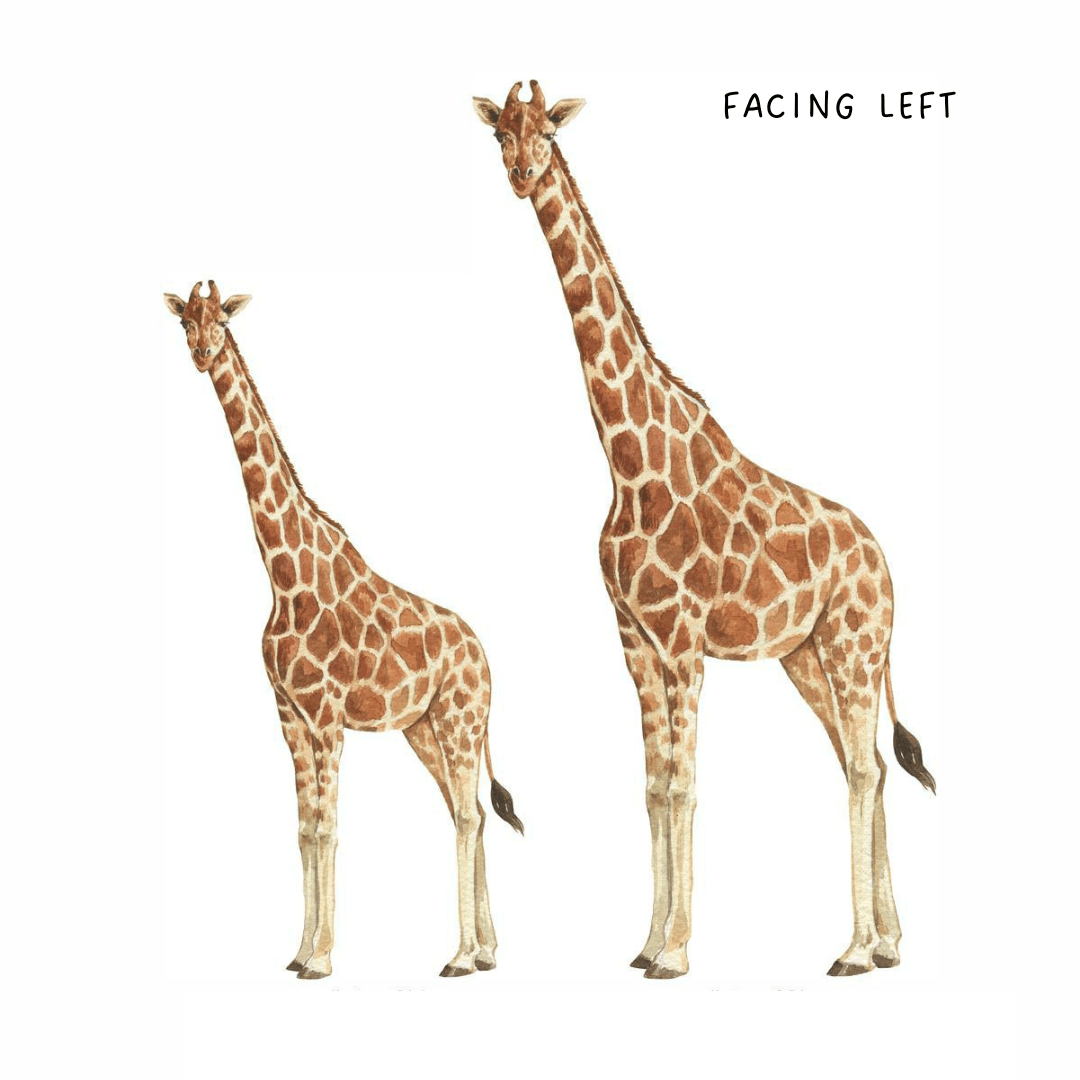 Giraffe Wall Decals