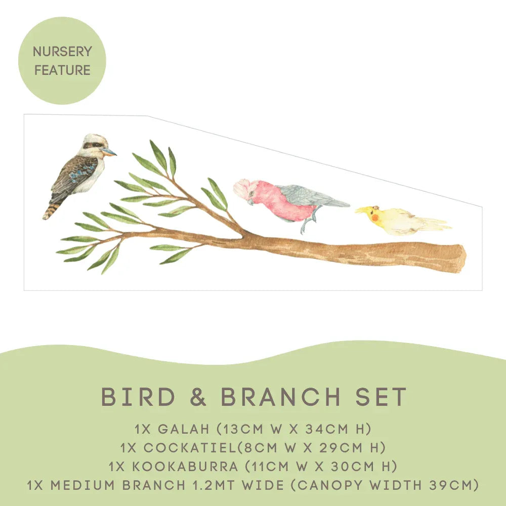Bird and Branch Set: galah, cockatiel, kookaburra and a 1.2m gum branch