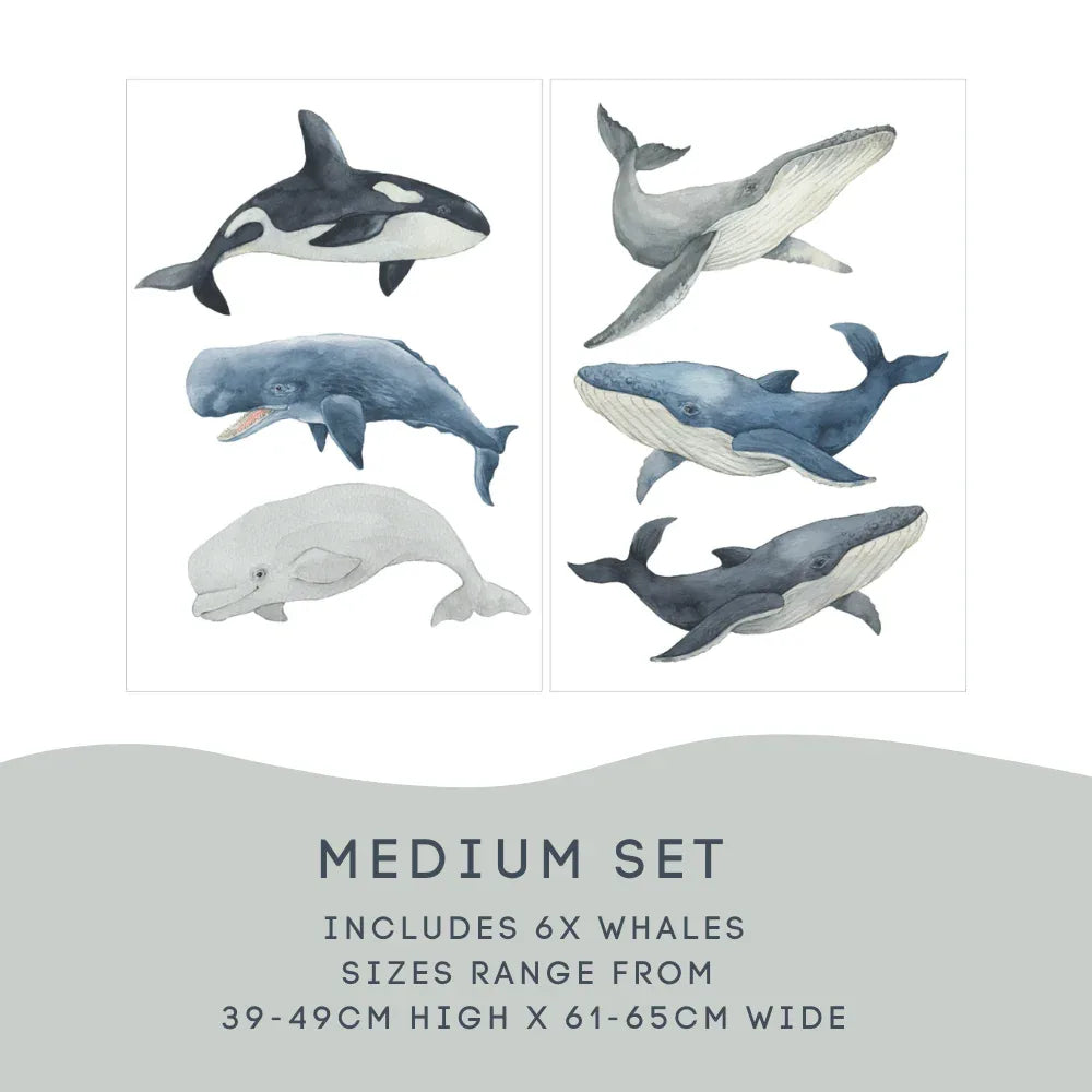 Whale Medium Set: 6 whales, 61 to 65cm wide by 39 to 49cm high