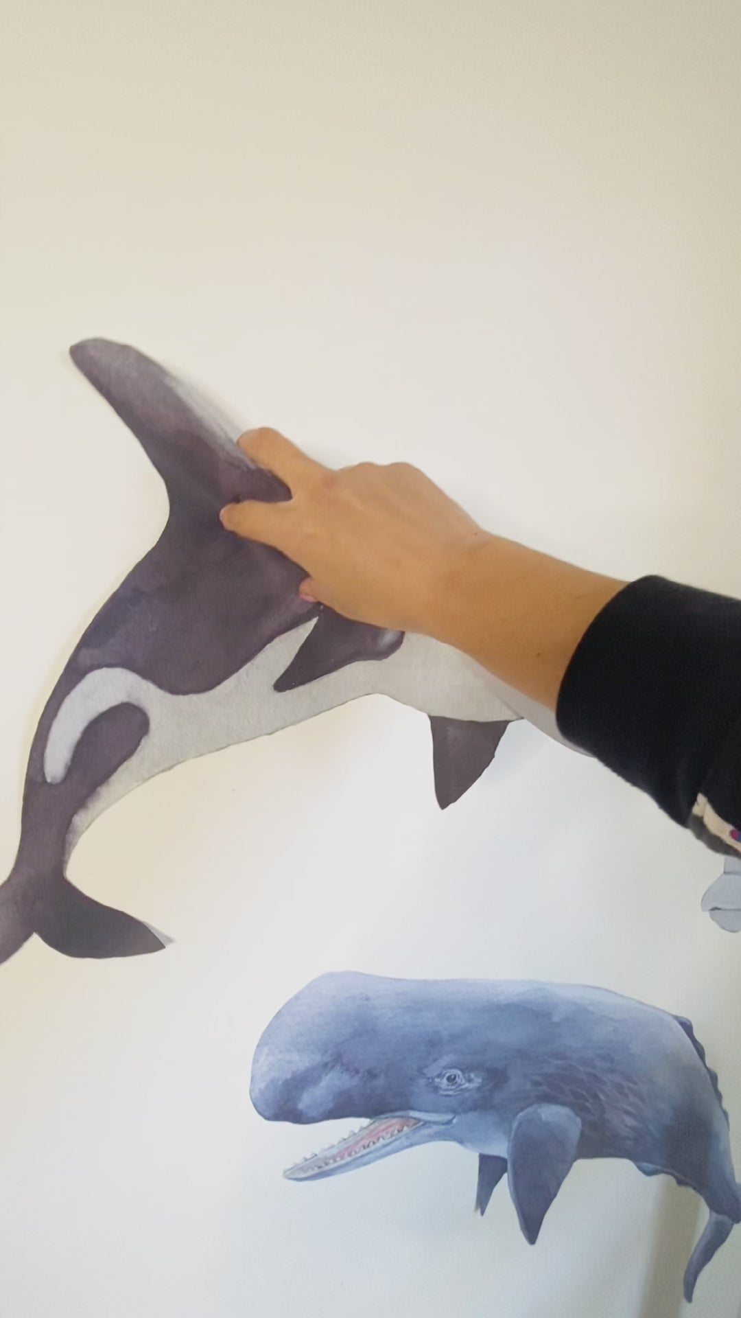 whale wall decals