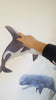 whale wall decals