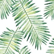 Aiden Tropical Leaves Green Jungle Wallpaper