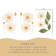 Removable Wall Decals 