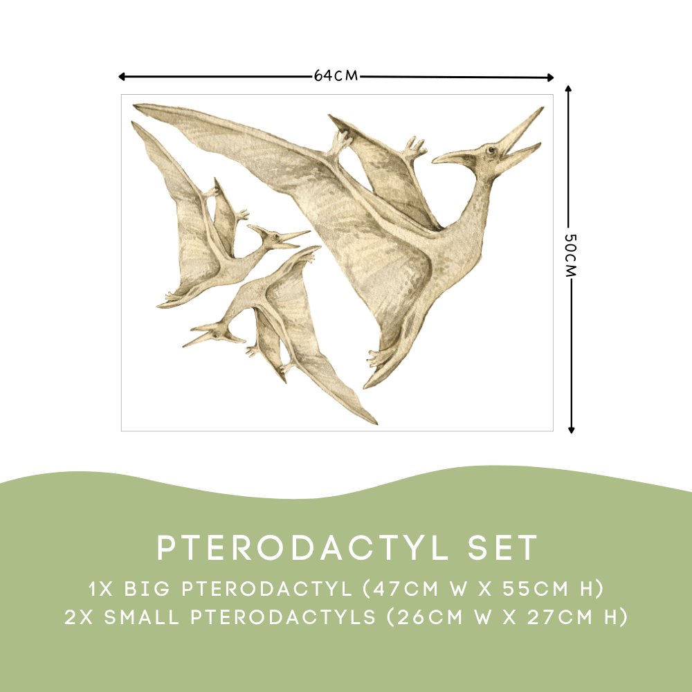 Pterodactyl Dinosaur Wall Decals