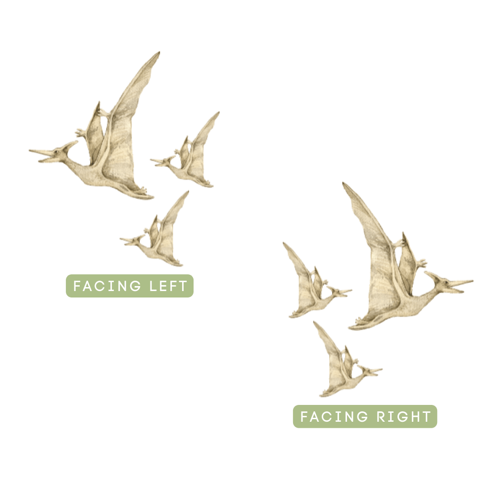 Pterodactyl decals shown facing left and facing right