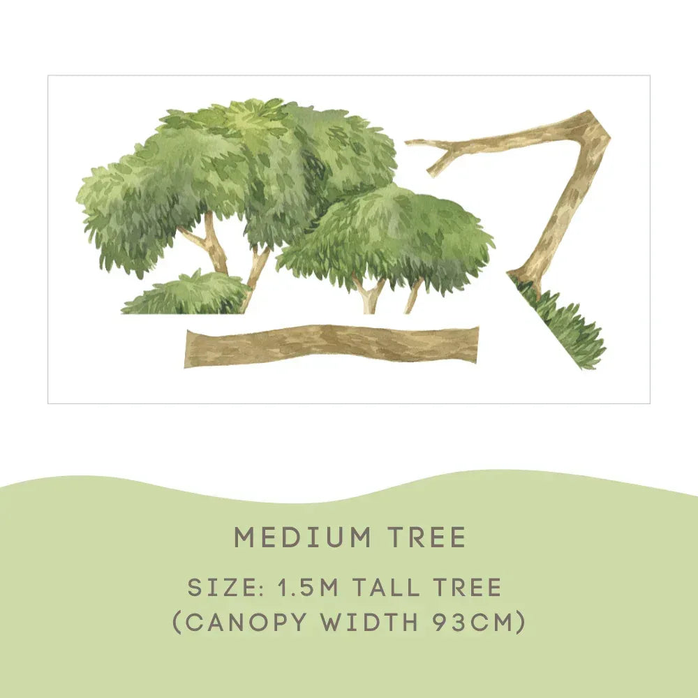 Gum Tree Medium size guide: 1.5m tall with a 93cm canopy width