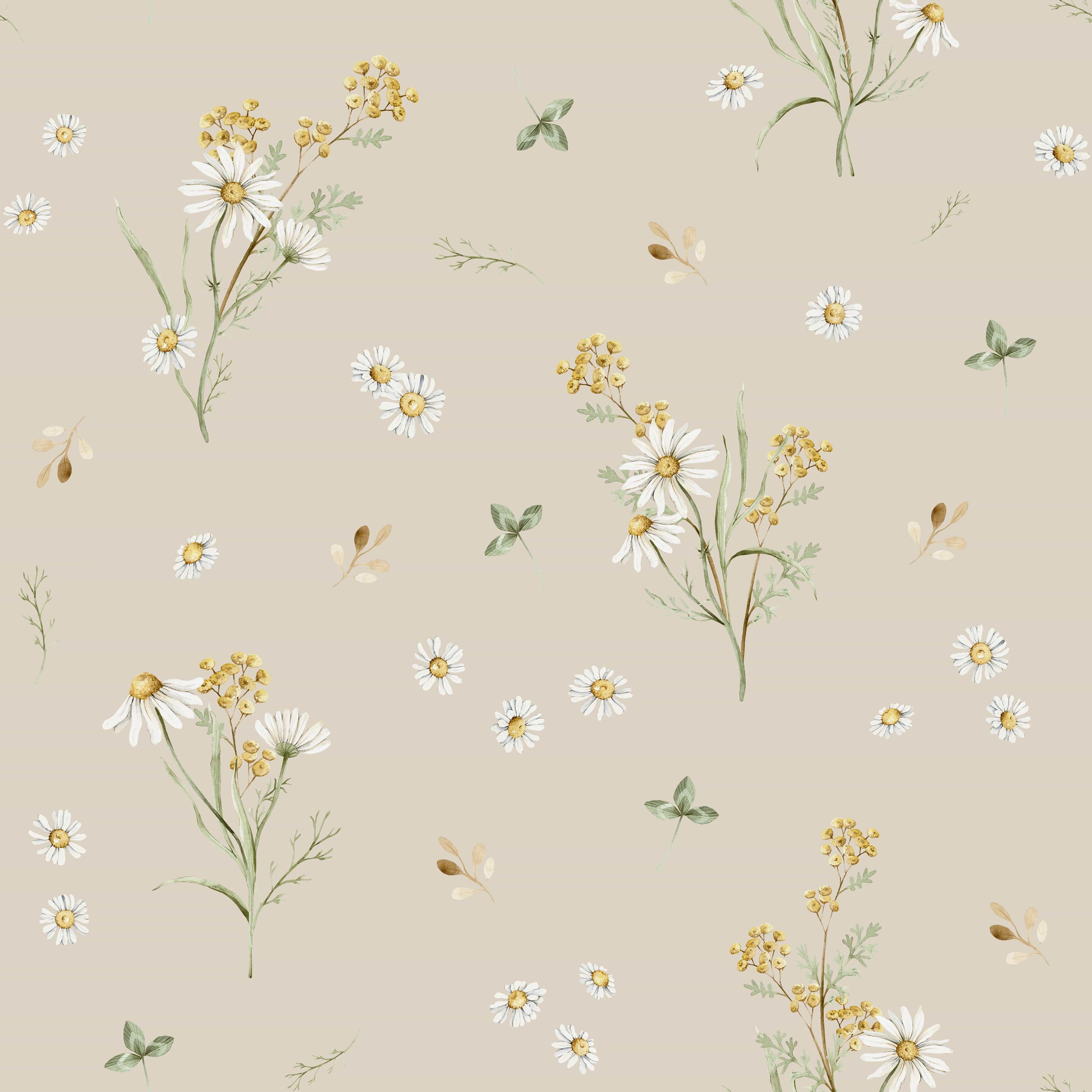 Meadow Daisy Floral Wallpaper