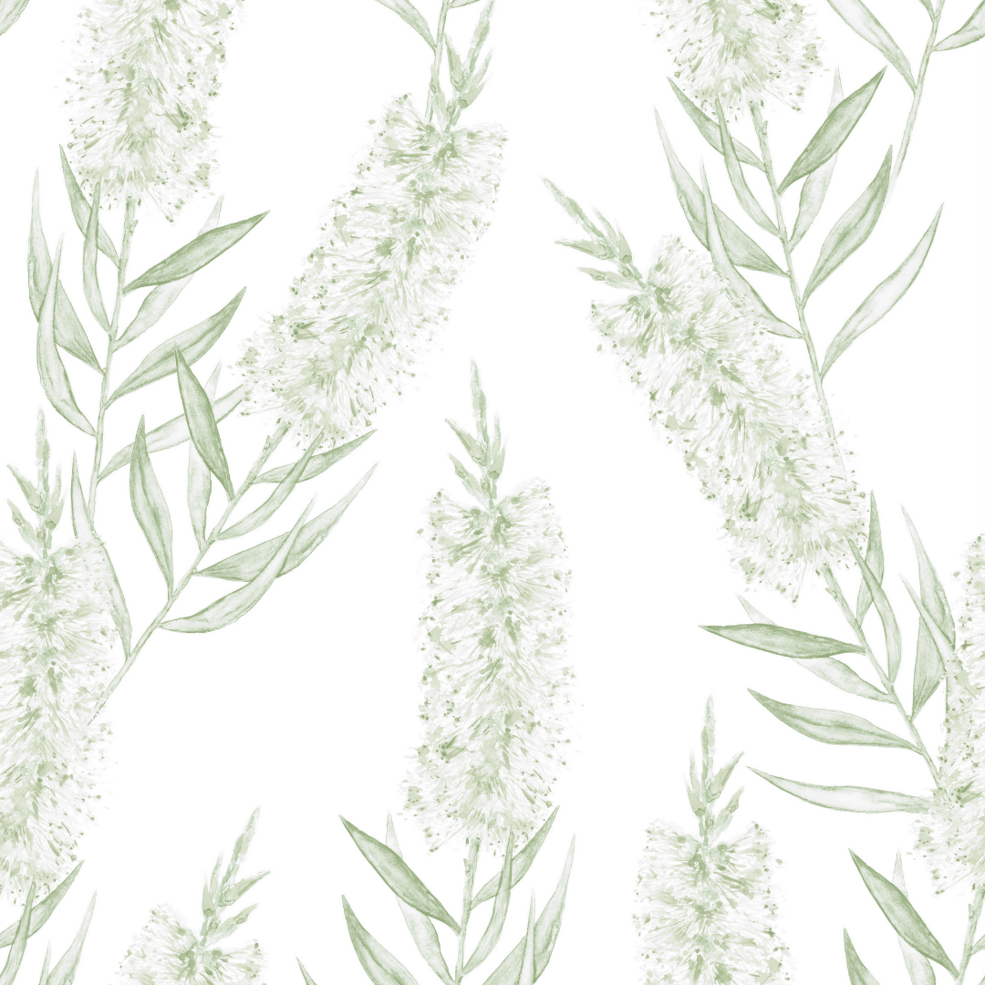 Close-up of Olive Native wallpaper showing green bottlebrush stems and leaves on white
