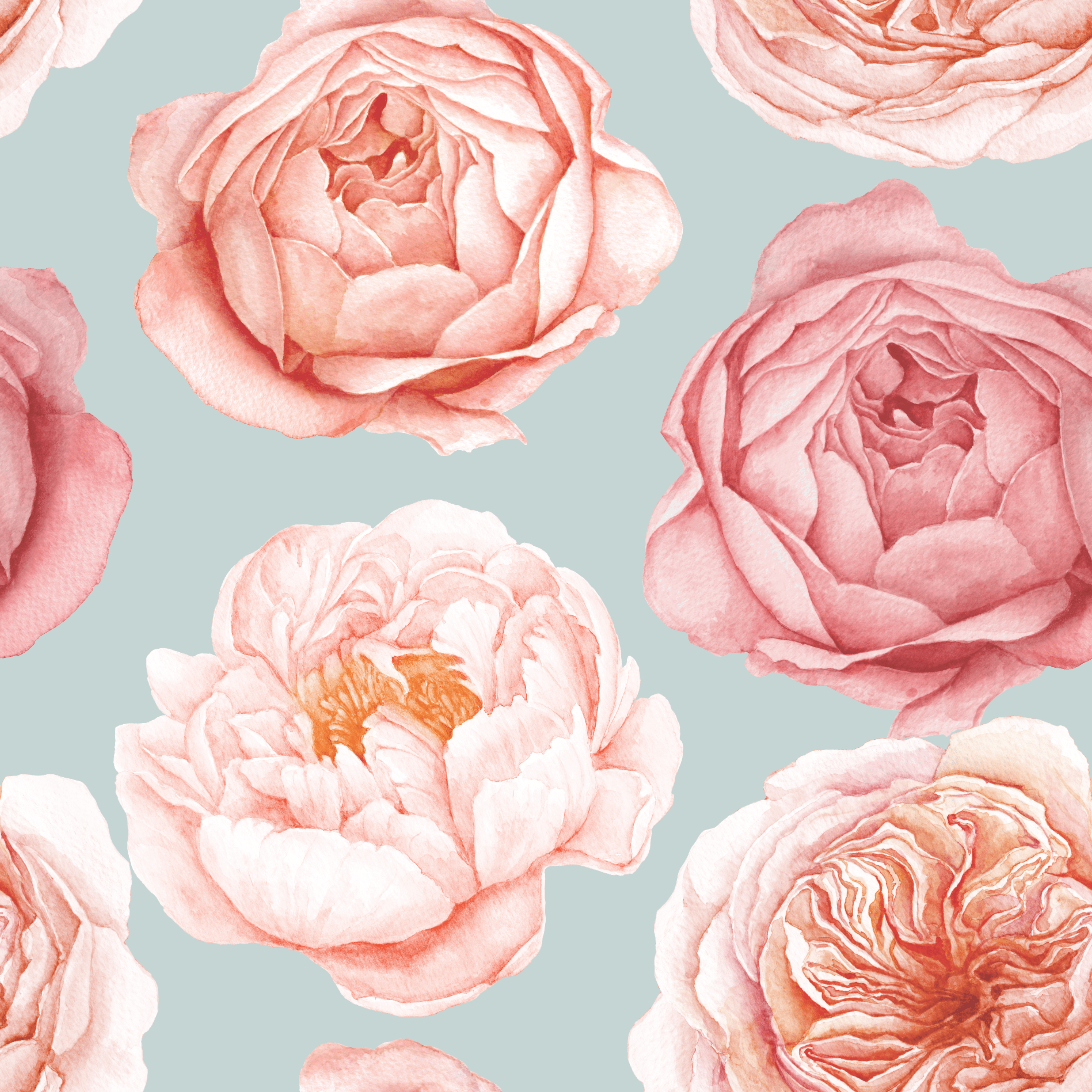 Peony Wonderland Romantic Pink Rose Bloom Wallpaper