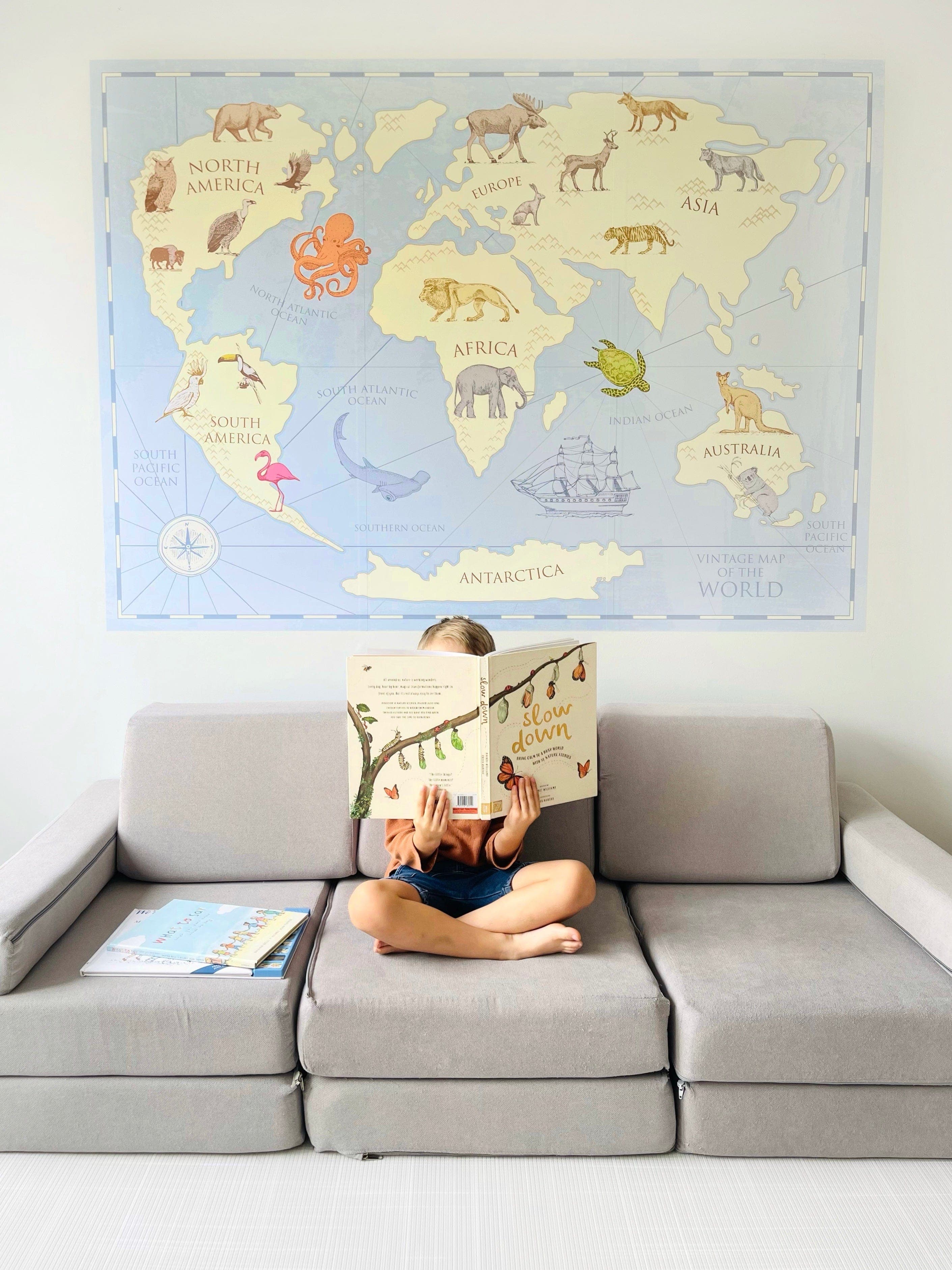 Vintage Old World Map Kids Wall Decals