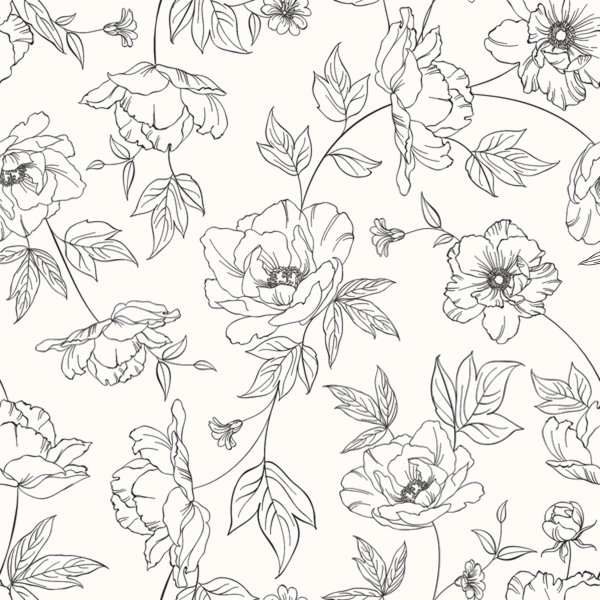 Close-up of Zadie Black wallpaper showing black outline peonies on white
