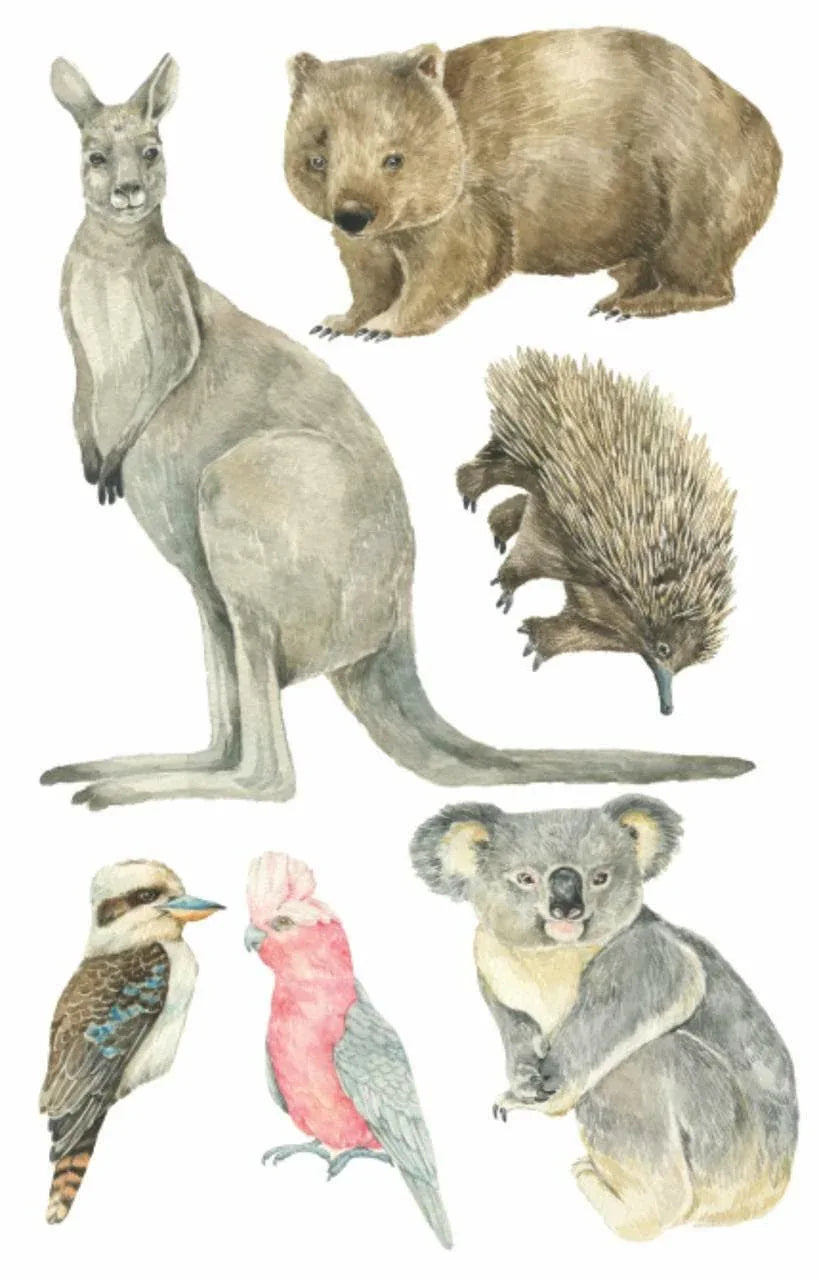 Australian animal decals: kangaroo, wombat, echidna, kookaburra, galah and koala