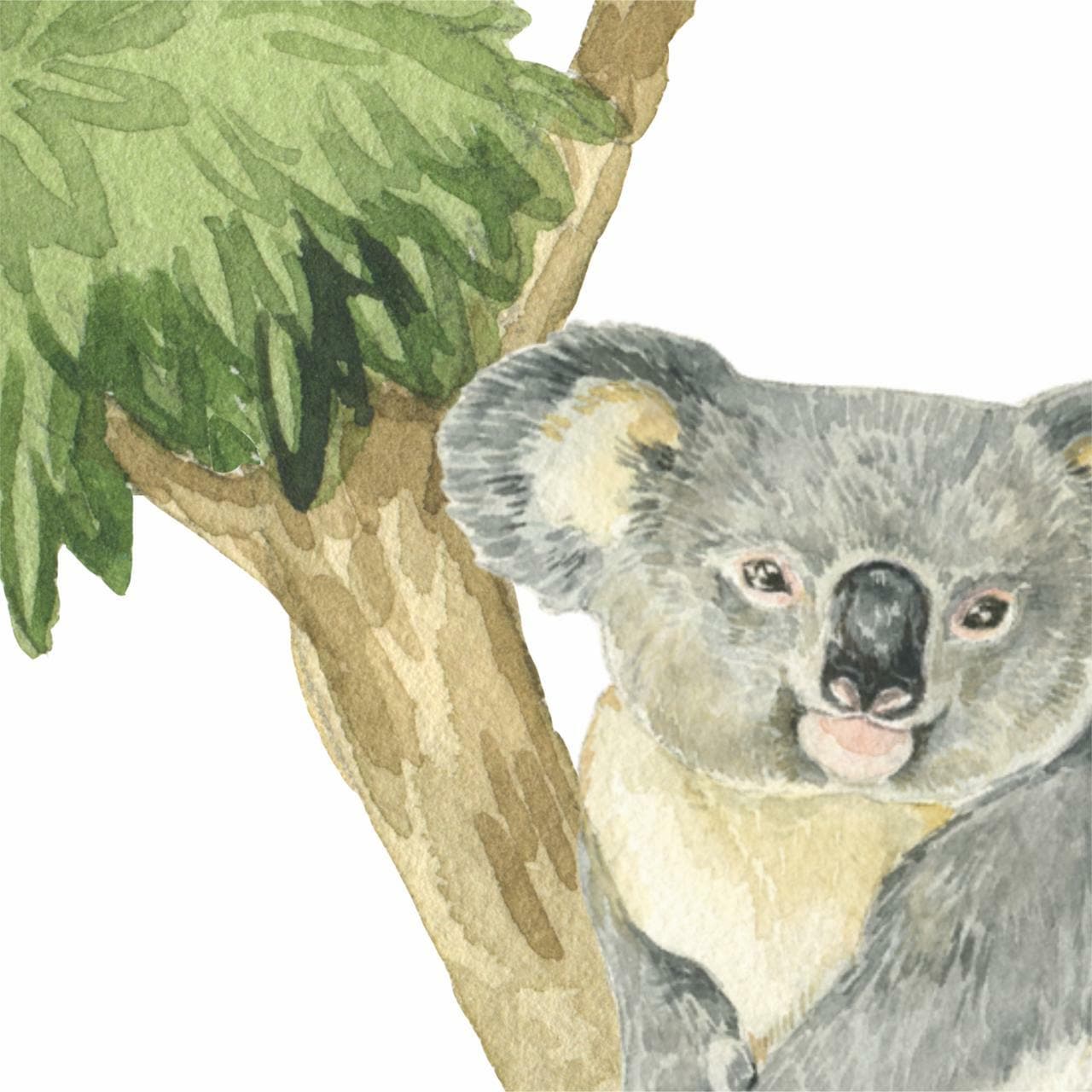 Australian Gum Tree & Koala Wall Decals