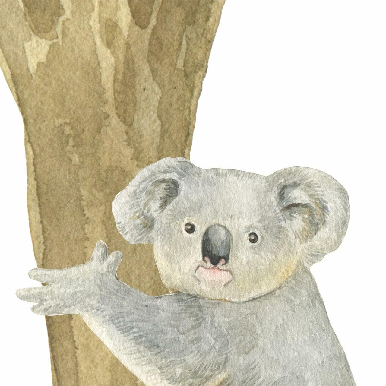 Australian Gum Tree & Koala Wall Decals