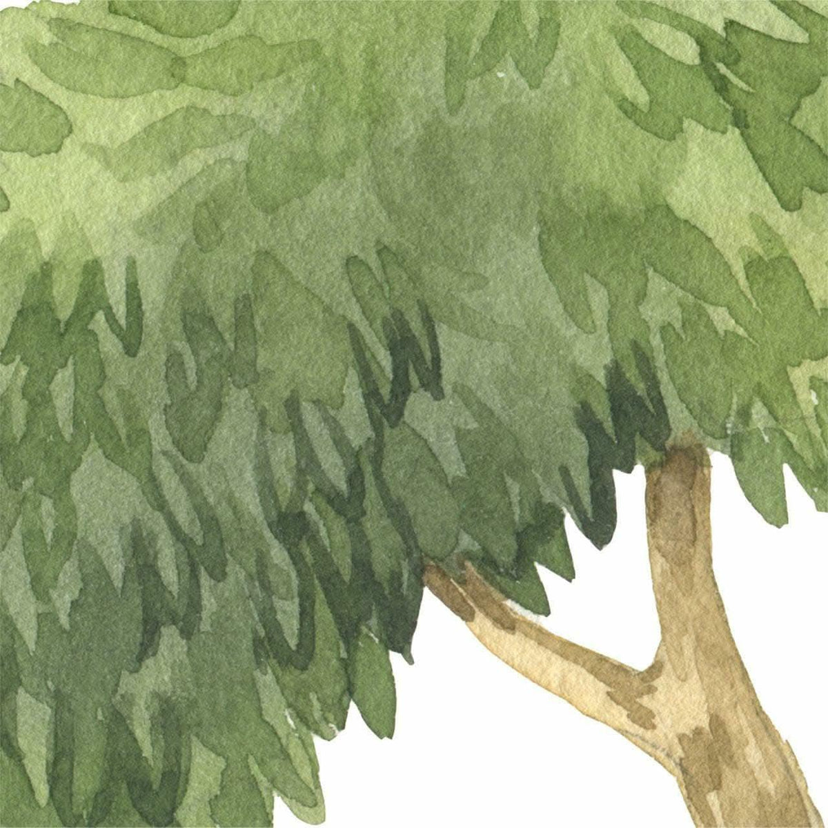 Close-up of the watercolour gum tree decal canopy and trunk