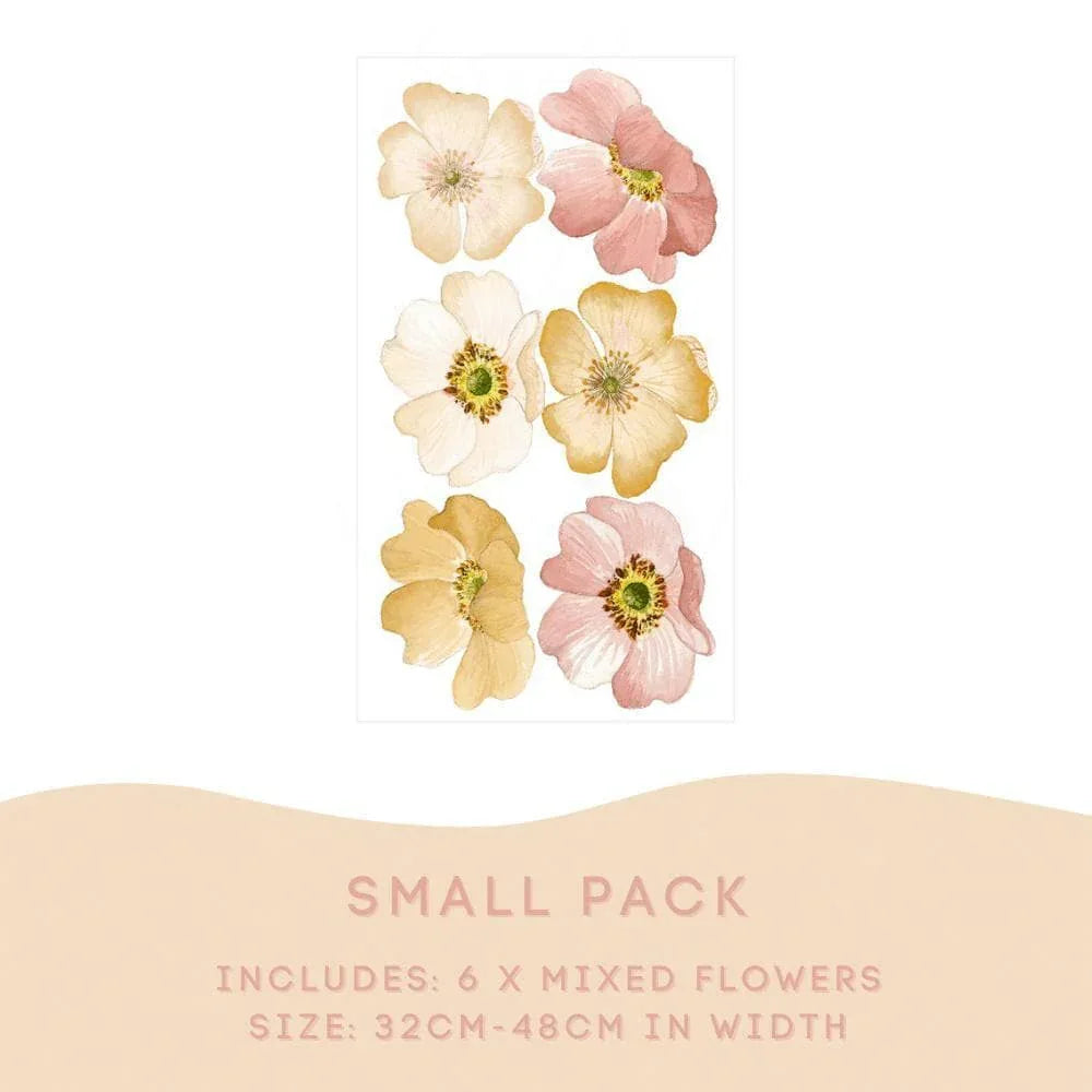 Marigold Small Pack: 6 mixed flowers, 32 to 48cm in width