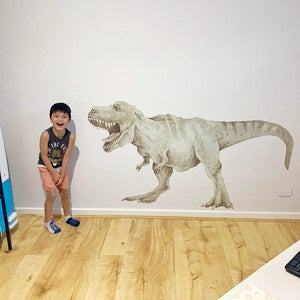 Removable Wall Decals 